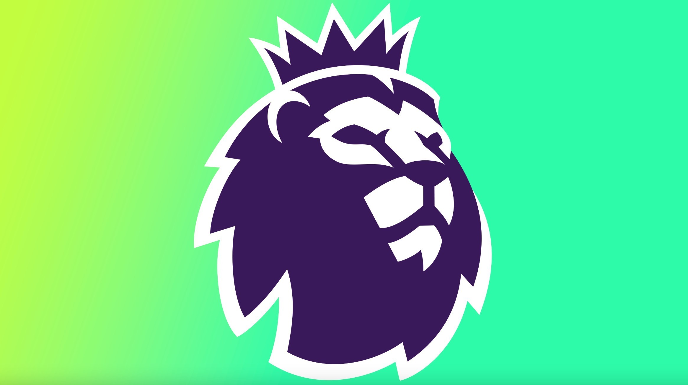 证词的不足 证词的不足